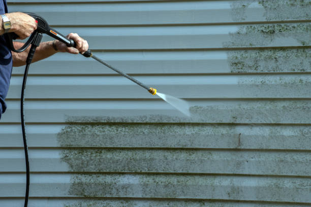 Best Roof Pressure Washing  in Pleasant Hill, TX