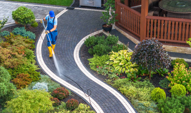 Best Pressure Washing Company Near Me  in Pleasant Hill, TX