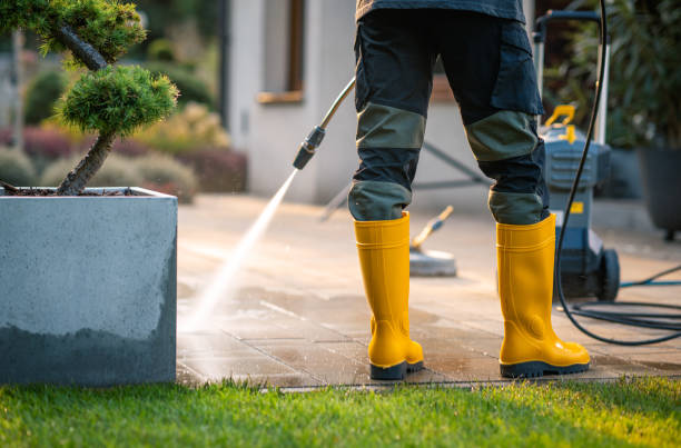 Best Local Pressure Washing Services  in Pleasant Hill, TX